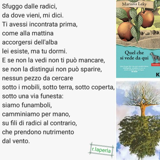 recensione in poesia