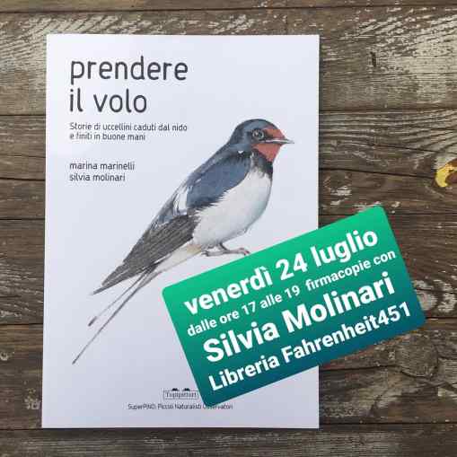 prendere il volo